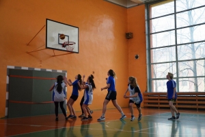 Zawody powiatowe w piłkę koszykową dziewcząt w roku szkolnym 2016/2017 - zdjęcie12