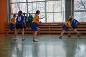Zawody powiatowe w piłkę koszykową dziewcząt w roku szkolnym 2016/2017 - zdjęcie8