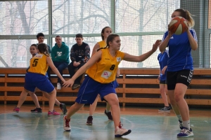 Zawody powiatowe w piłkę koszykową dziewcząt w roku szkolnym 2016/2017 - zdjęcie7