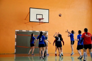 Zawody powiatowe w piłkę koszykową dziewcząt w roku szkolnym 2016/2017 - zdjęcie1