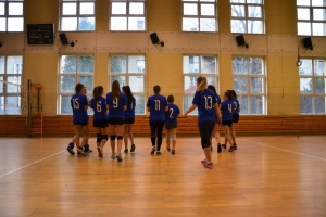 Zawody powiatowe w piłkę siatkową dziewcząt w roku szkolnym 2016/2017 - zdjęcie27