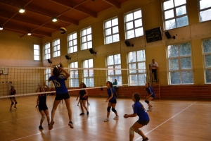 Zawody powiatowe w piłkę siatkową dziewcząt w roku szkolnym 2016/2017 - zdjęcie25