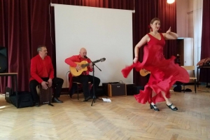 Energetyczne Flamenco! - zdjęcie8