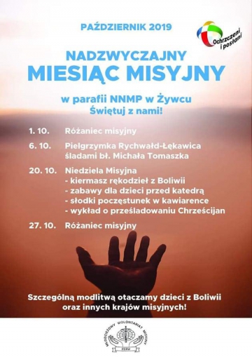 Młodzieżowy Wolontariat Misyjny