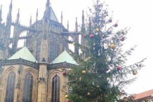 Jarmark świąteczny w Pradze - zdjęcie1