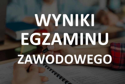 Publikacja wyników egzaminu zawodowego - logowanie do portalu zdającego